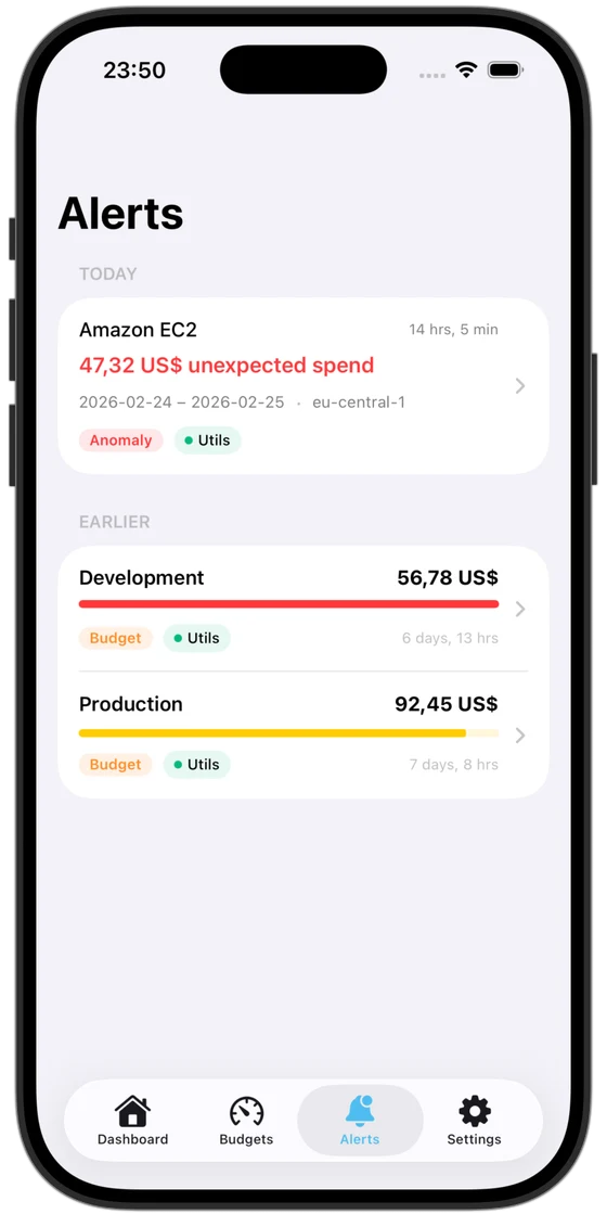 CostPulse alerts view showing anomaly detection warnings and budget threshold notifications